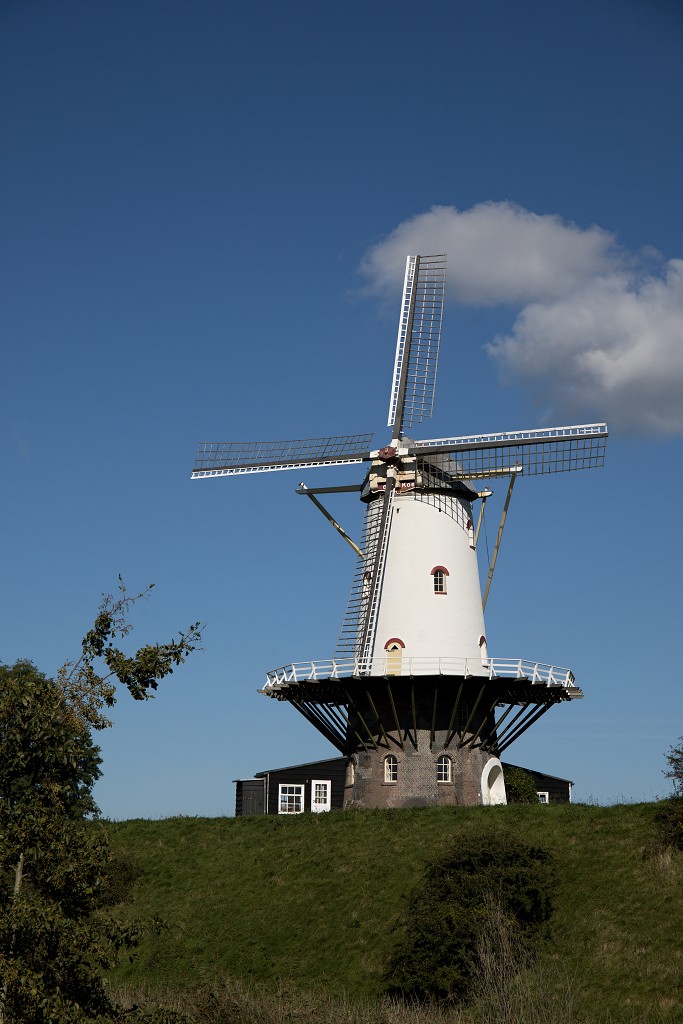 molen molens hdr erfgoed polder landschap windmolen windmolenpark windpark windmolens windturbine windenergie windturbines